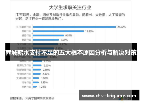 蓉城薪水支付不足的五大根本原因分析与解决对策 蓉城薪水支付不足的五大根本原因分析与解决对策