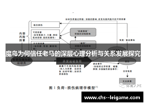 魔鸟为何信任老马的深层心理分析与关系发展探究